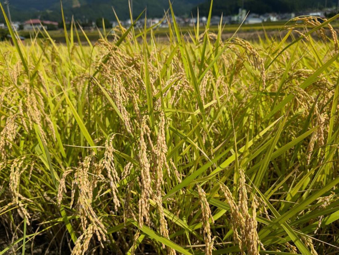 野沢御宿 外观 照片